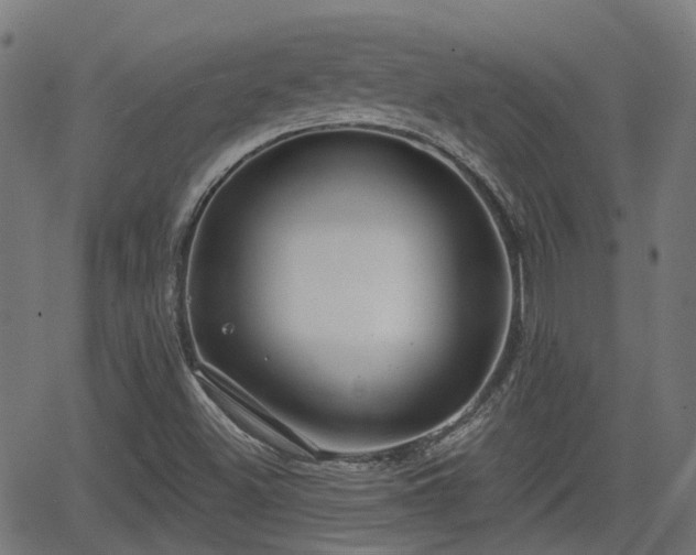 X0000062911500200601181206