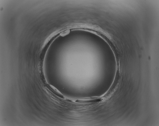 X0000062911501200601181206