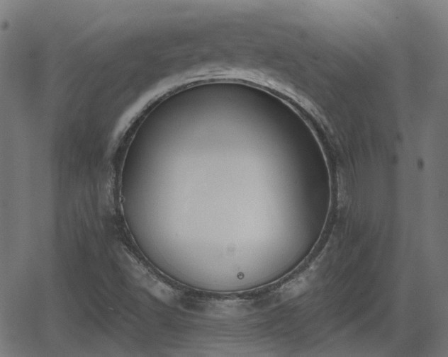 X0000062911502200601181206