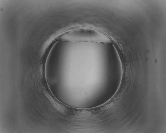 X0000062911503200601181206