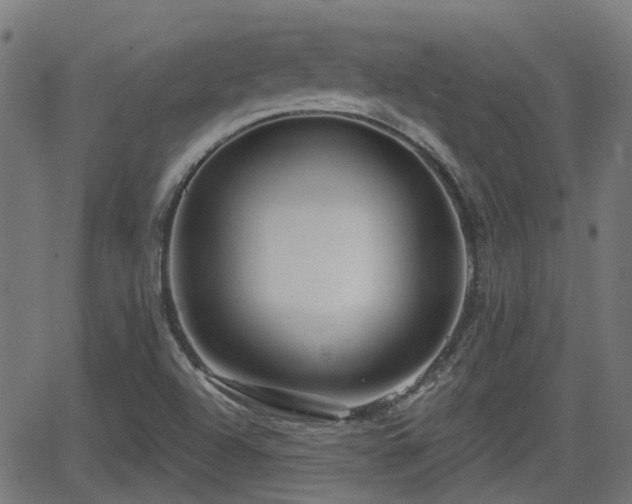 X0000062911504200601181206