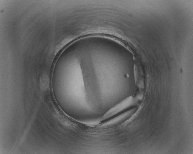 X0000062911505200601181206