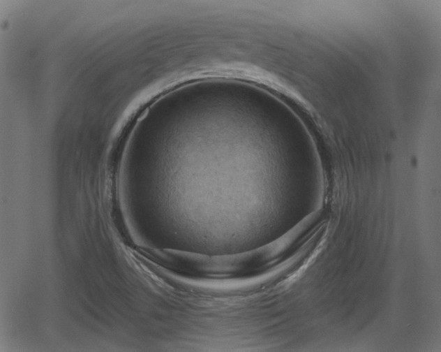 X0000062911506200601181206