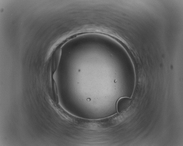 X0000062911507200601181206