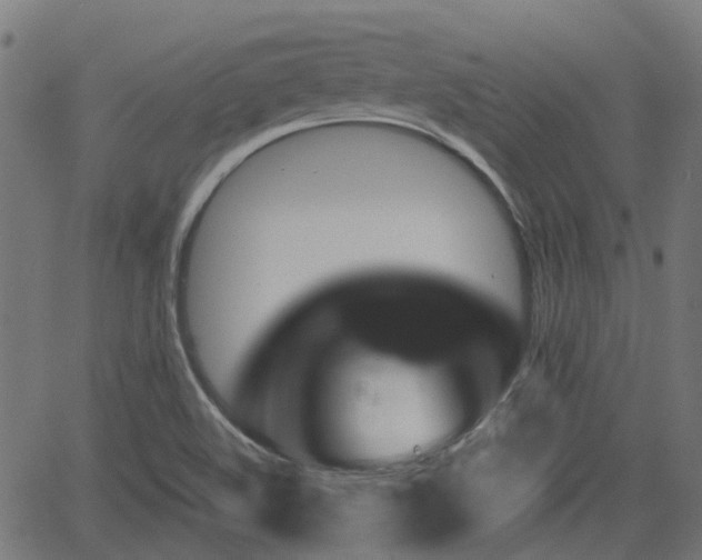 X0000062911508200601181206