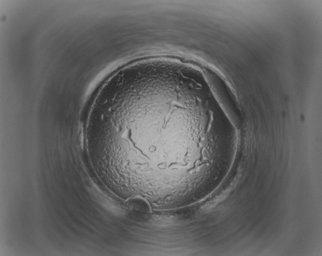 X0000062911509200601181206