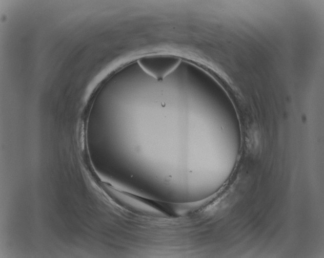 X0000062911510200601181206