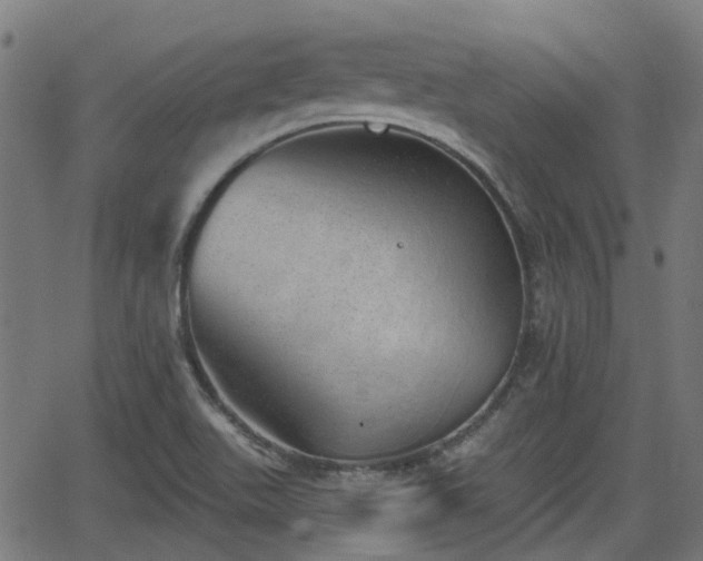 X0000062911511200601181206