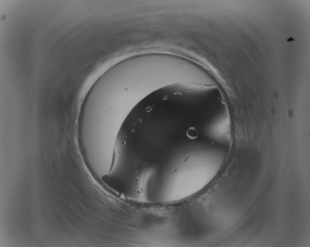 X0000062911512200601181206