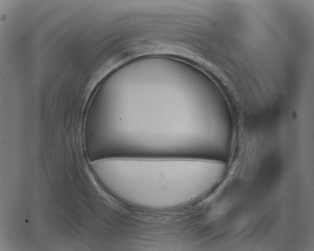 X0000062911513200601181206