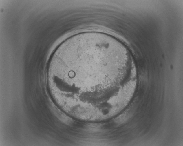 X0000062911514200601181206