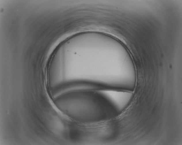 X0000062911515200601181206