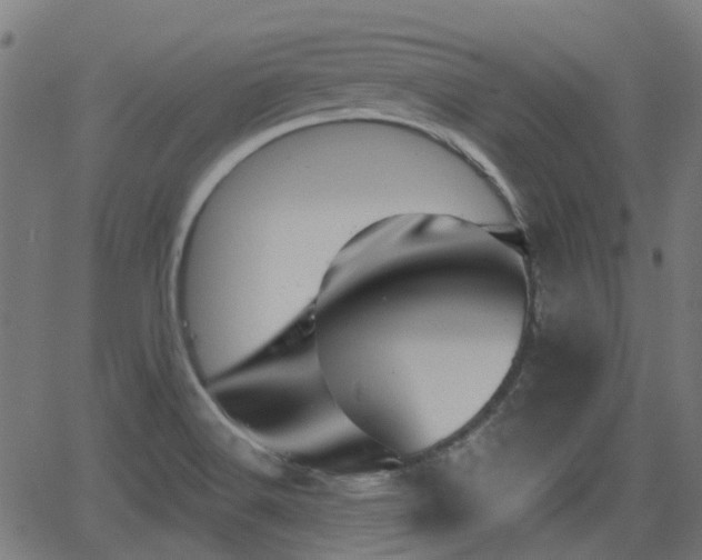 X0000062911516200601181206