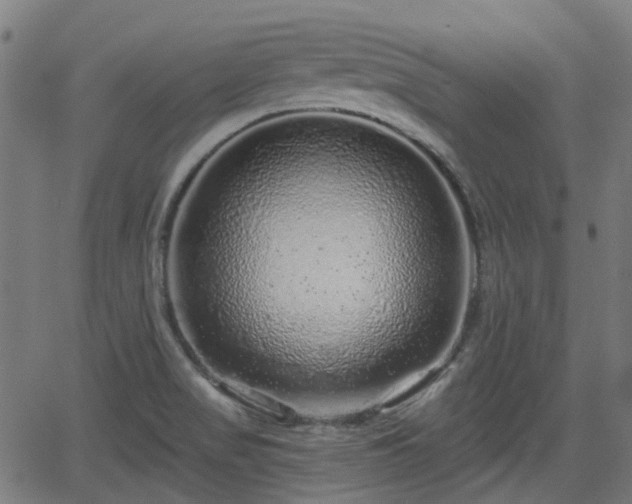 X0000062911517200601181206