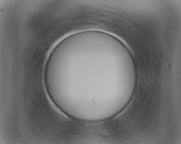 X0000062911518200601181206