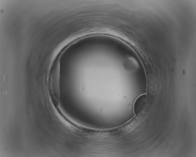 X0000062911519200601181206