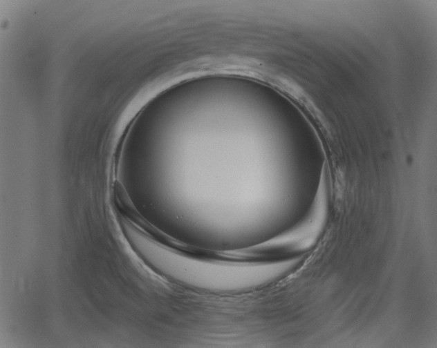 X0000062911520200601181206