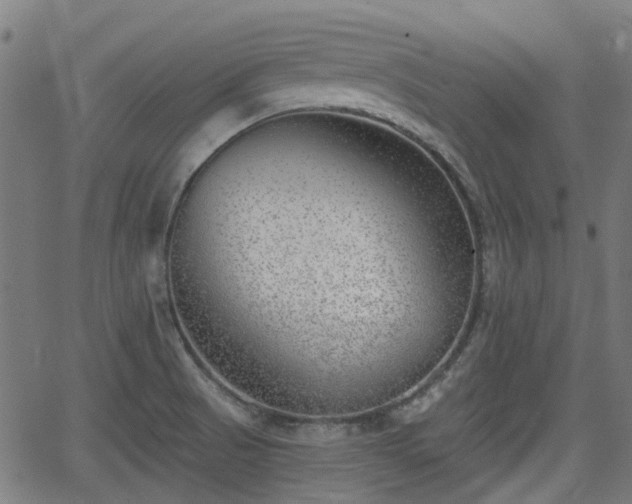 X0000062911521200601181206