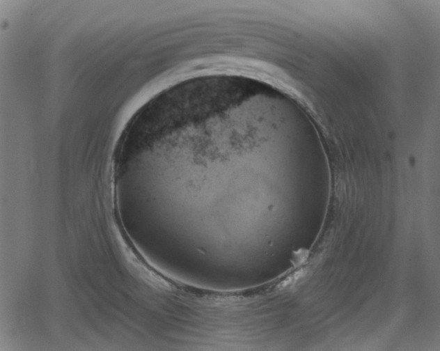 X0000062911522200601181206