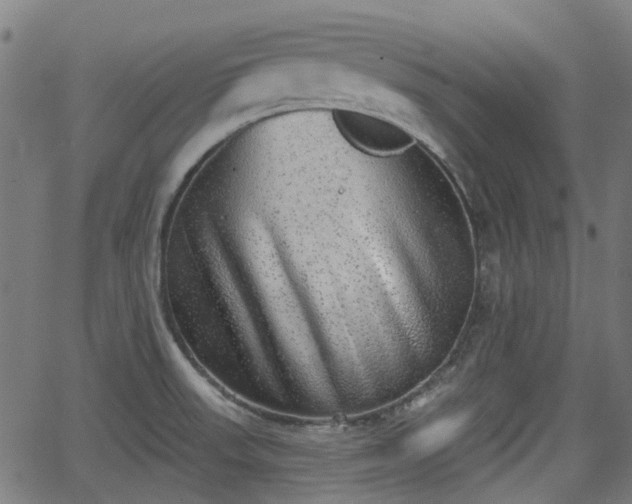 X0000062911523200601181206