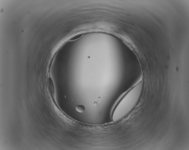 X0000062911524200601181206