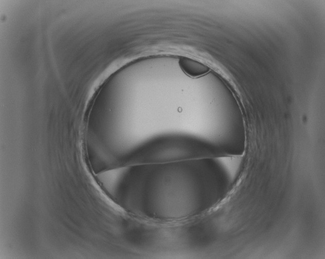 X0000062911525200601181206