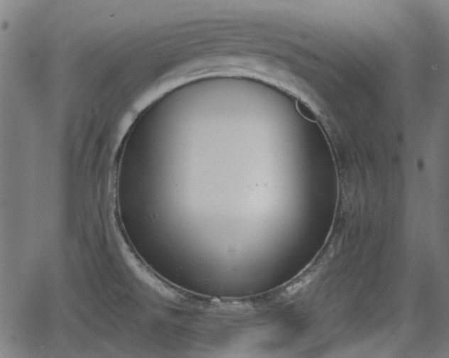 X0000062911526200601181206