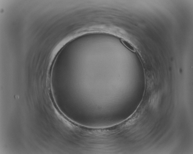 X0000062911527200601181206