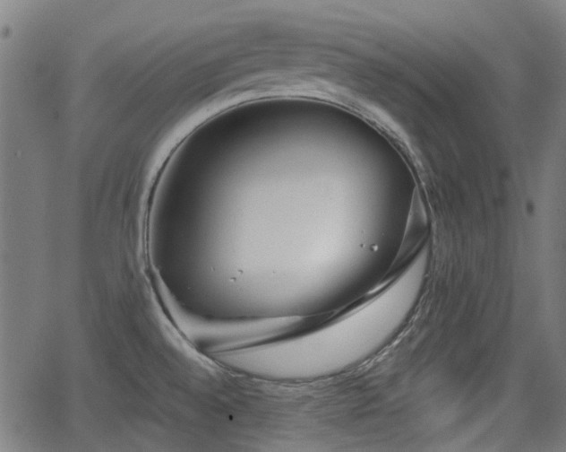 X0000062911528200601181206