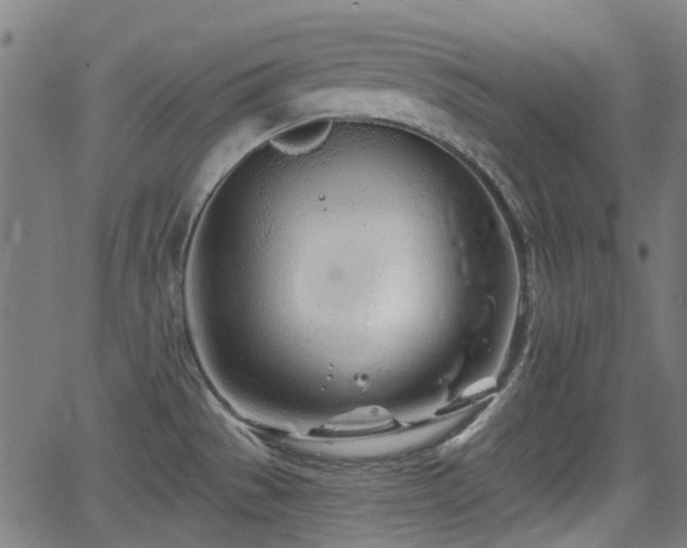 X0000062911529200601181206