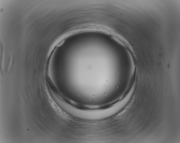 X0000062911530200601181206