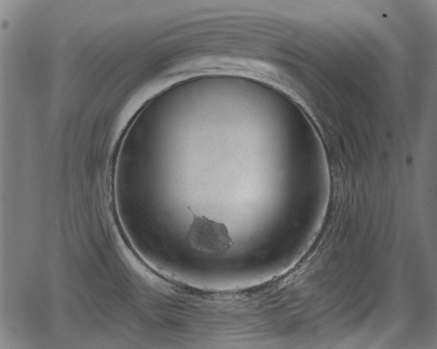 X0000062911531200601181206