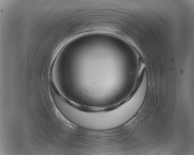 X0000062911532200601181206