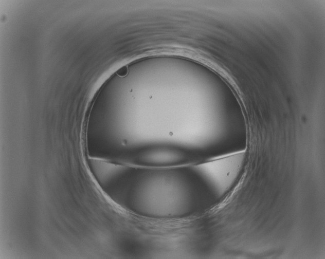 X0000062911533200601181206