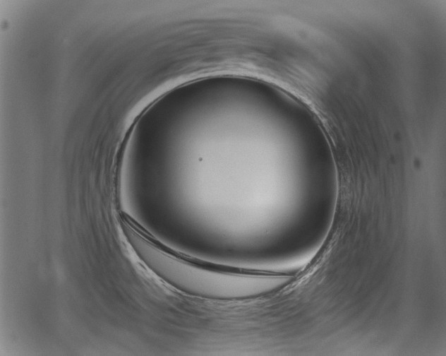 X0000062911534200601181207