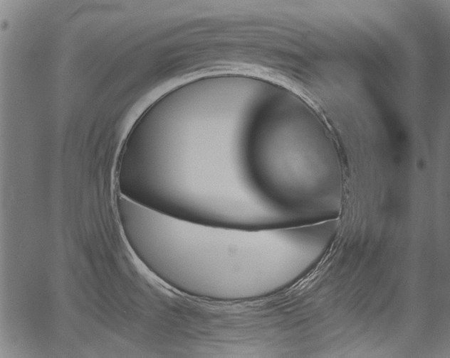 X0000062911535200601181207