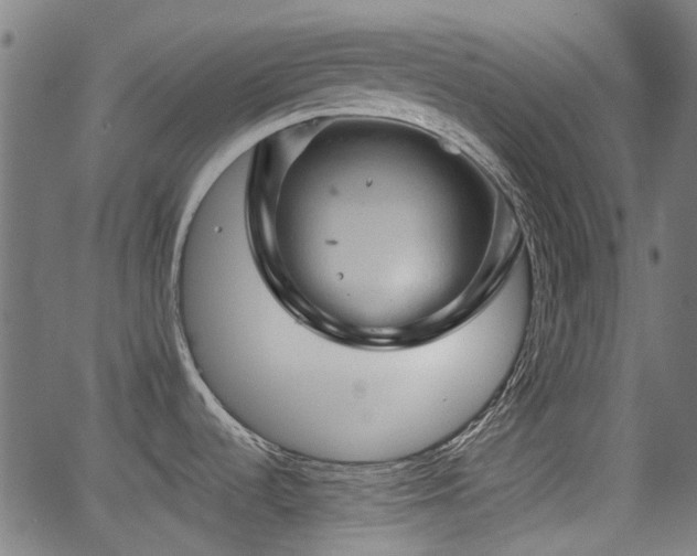 X0000062911536200601181207