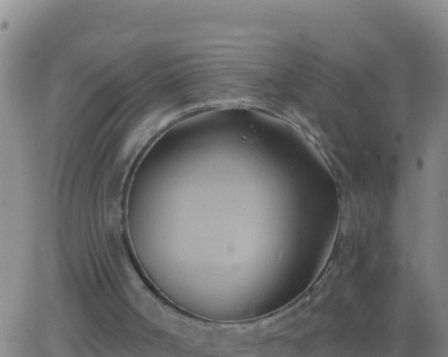 X0000062910002200601201948