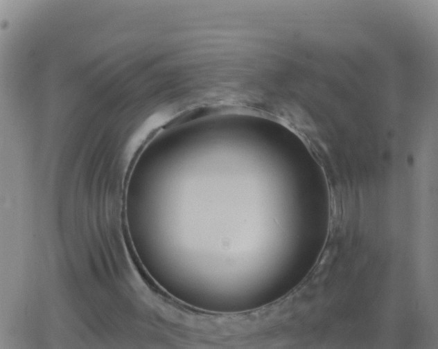 X0000062910003200601201948