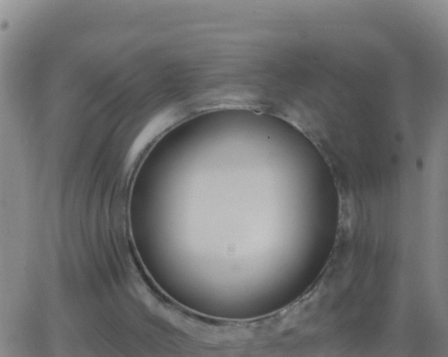 X0000062910004200601201948