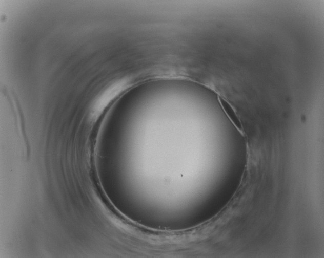 X0000062910005200601201948