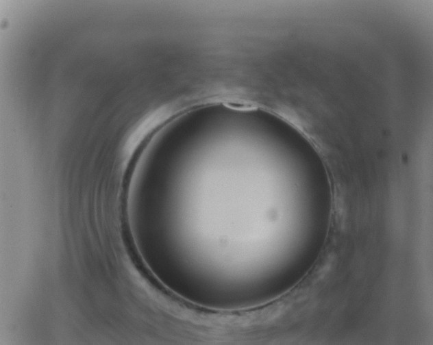 X0000062910007200601201948