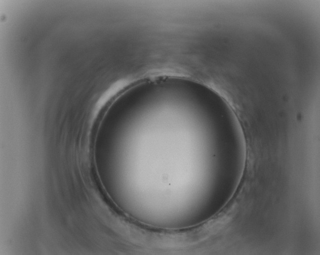 X0000062910008200601201948