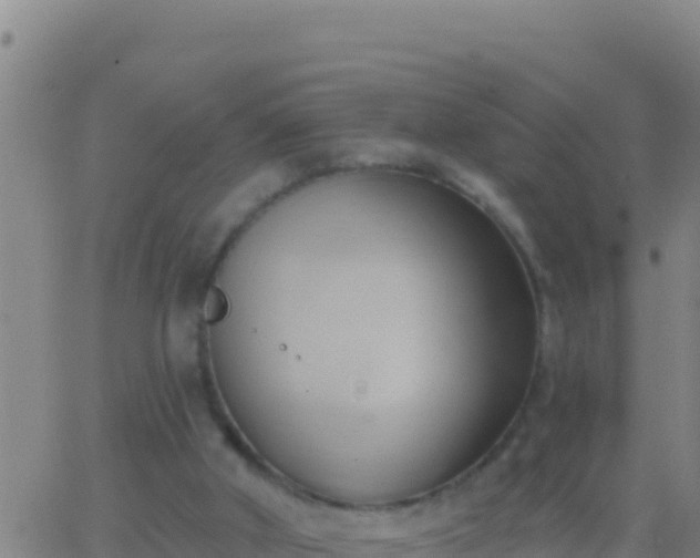 X0000062910010200601201948