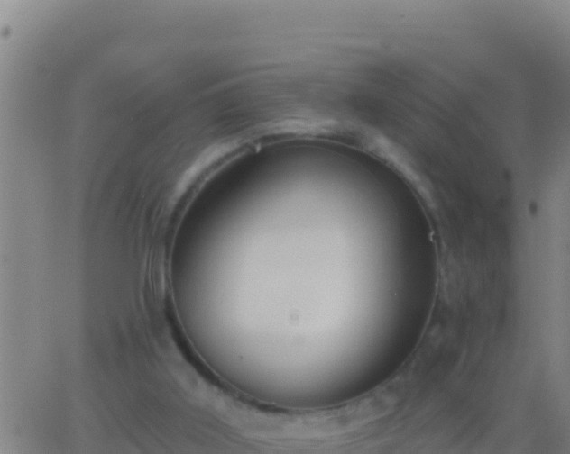 X0000062910011200601201948