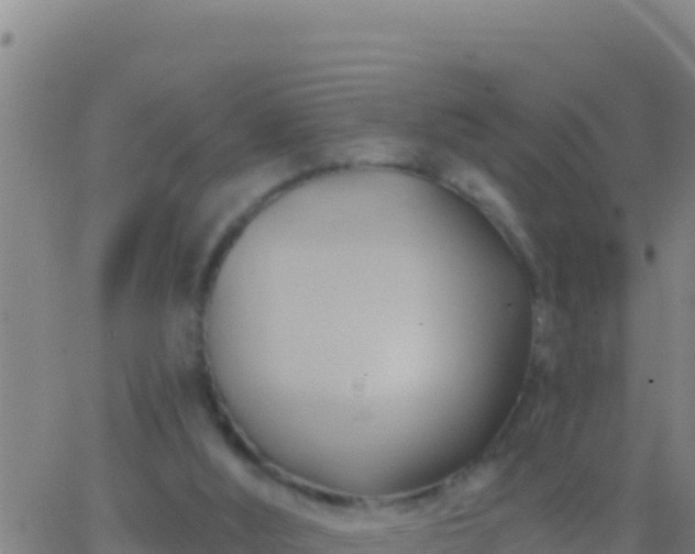 X0000062910012200601201948