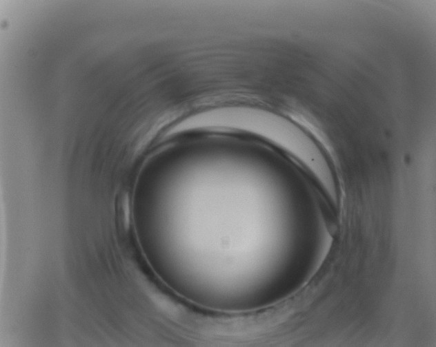 X0000062910013200601201948