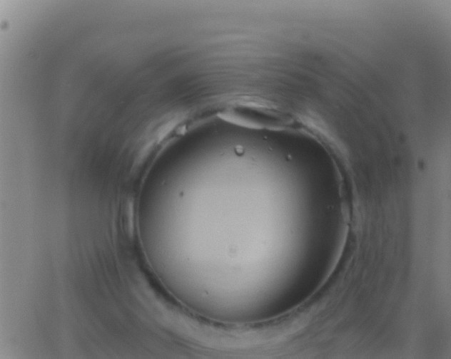 X0000062910014200601201948