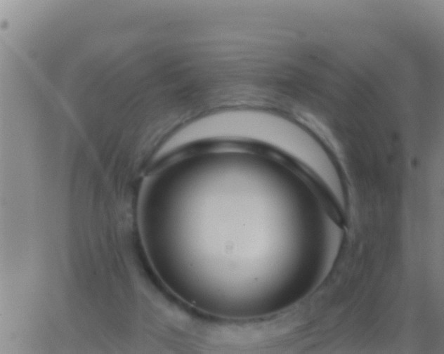 X0000062910017200601201948