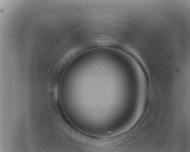 X0000062910019200601201948